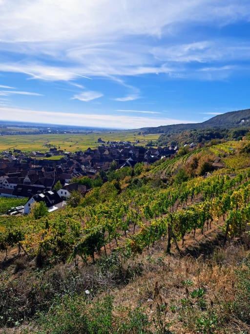 גברשוויר Entre Vignes Et Vergers Gite Parenthese מראה חיצוני תמונה